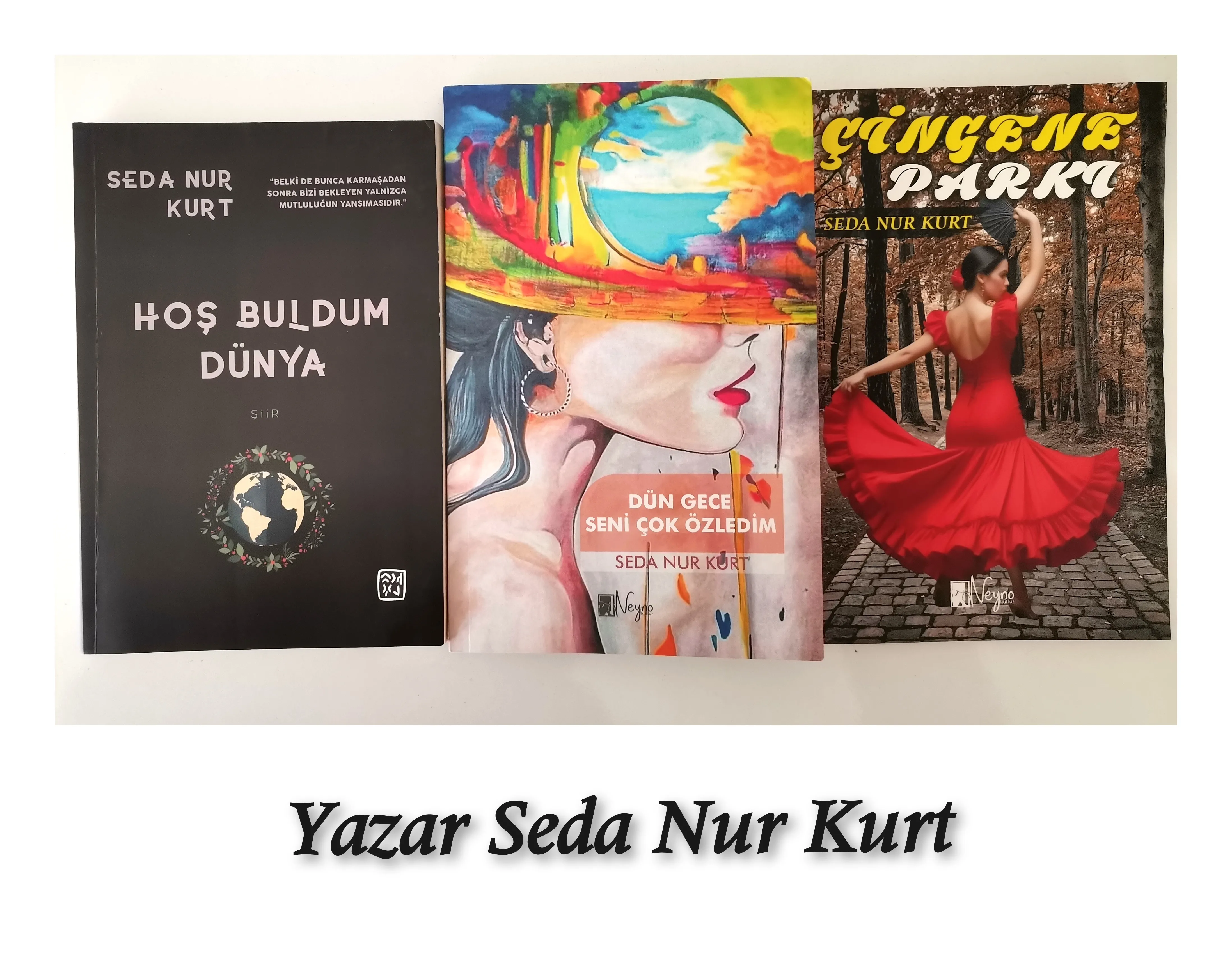 Kastamonulu Yazar Seda Nur Kurt Kimdir Seda Nur Kurt Biyografi Ve Eserleri (4)