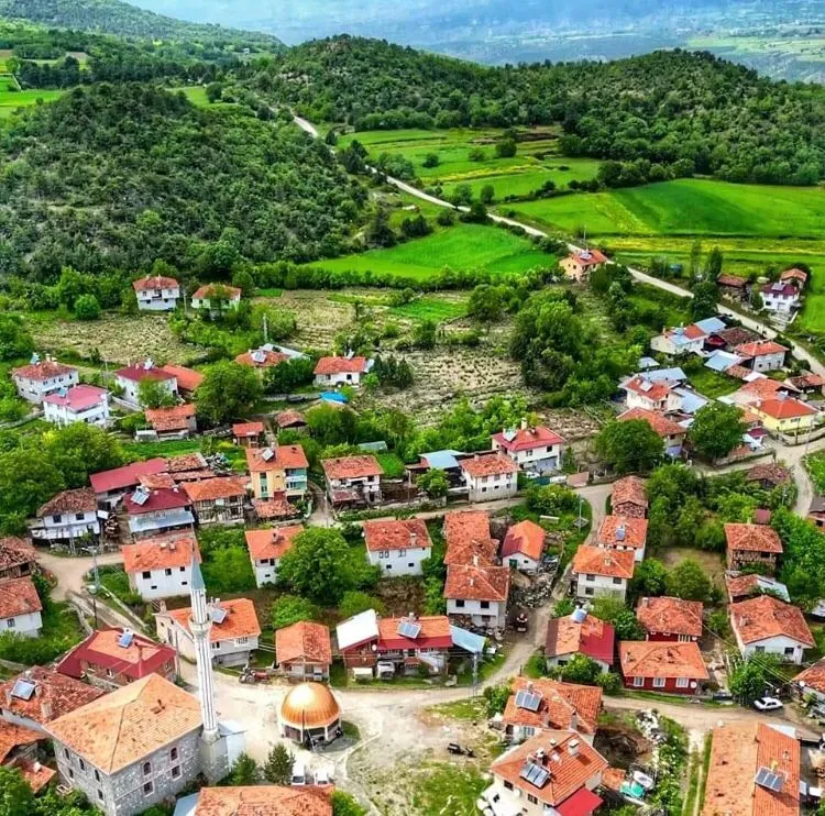 Kastamonu'nun Göç Vermeyen Tek Köyü! Üreten Köy Modeli Türkiye'ye Örnek Oluyor! 5