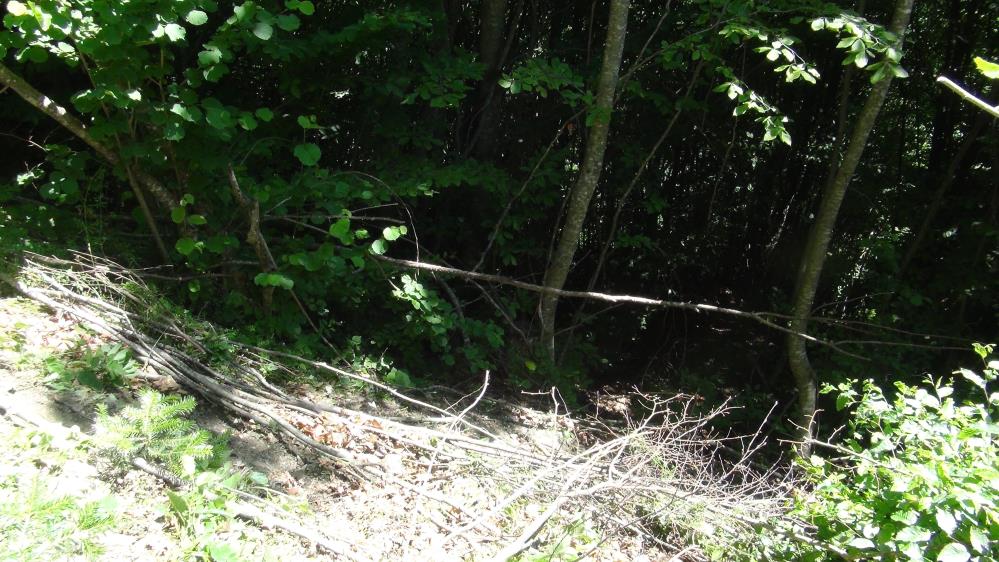 Satı Doğruoğlu Cinayeti (4)