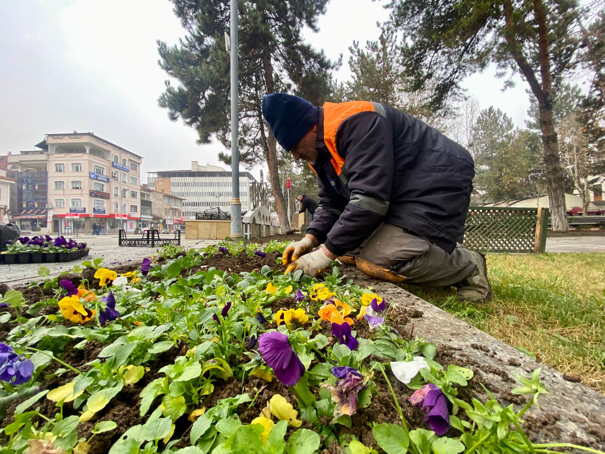 Taşköprü Çiçek (1)