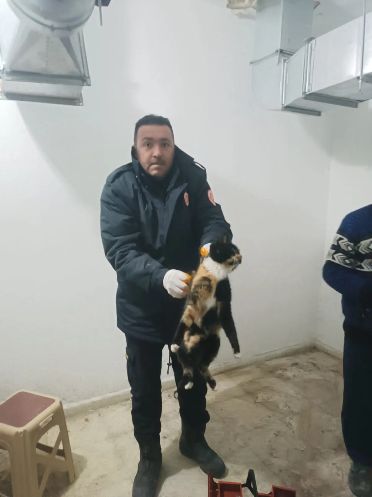 Taşköprü’de Kedi Mahsur Kaldı İtfaiye Ekipleri Imdadına Yetişti! 1