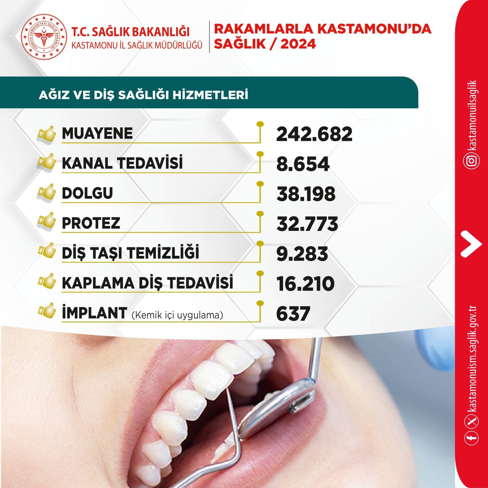 Kastamonu Diş Sağlığı Verileri