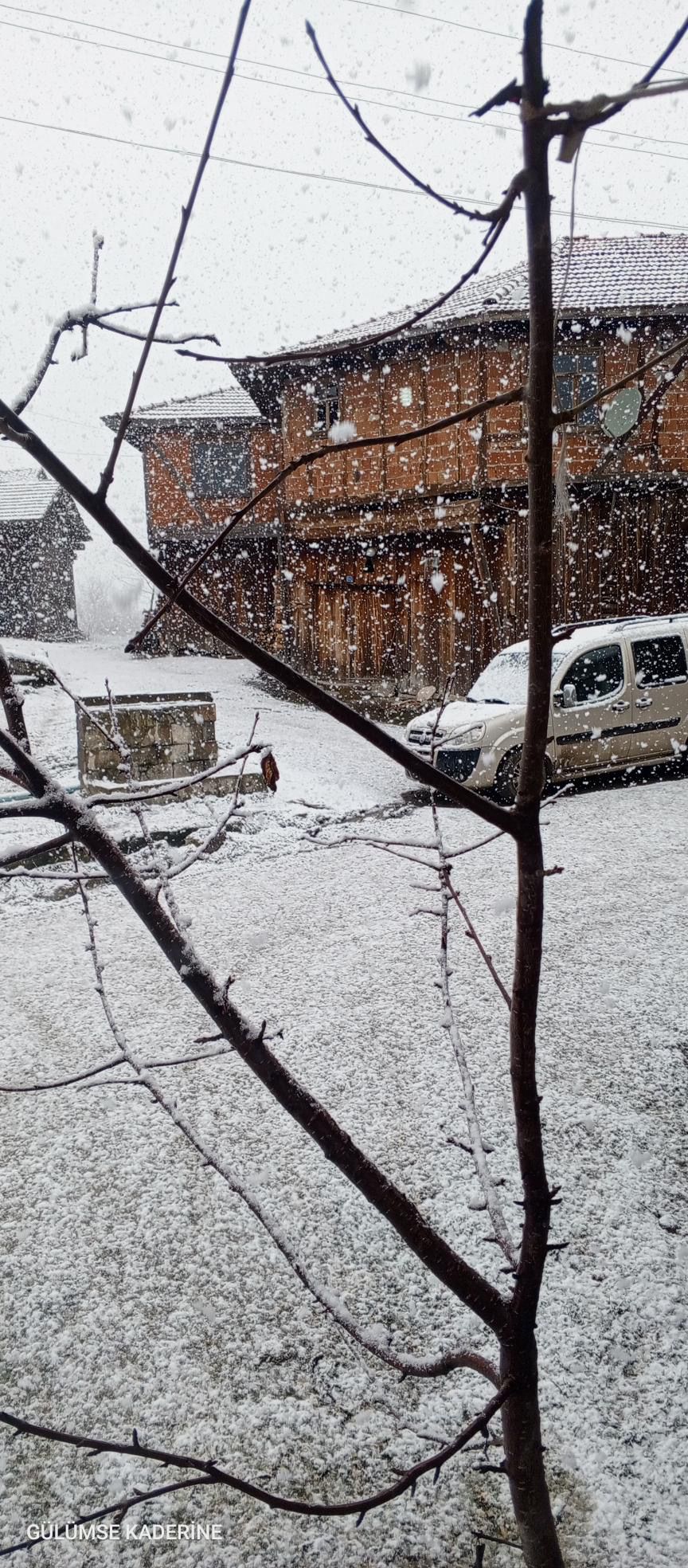 Kastamonu Kar Manzarası Beyaz (1)