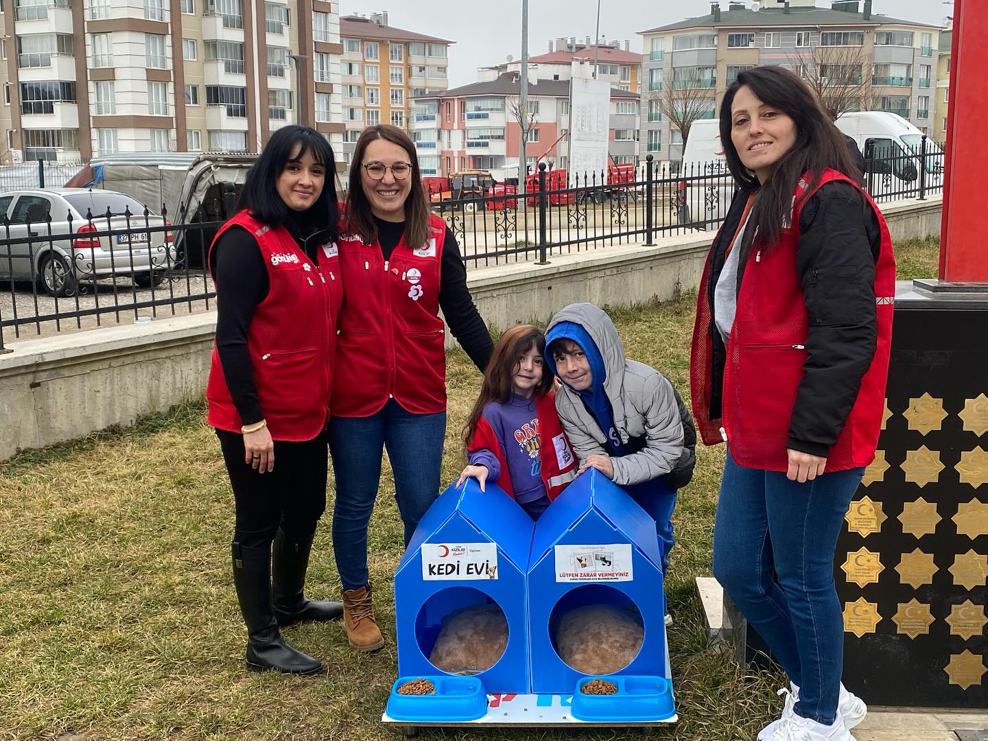 Kastamonu Kızılay Kedi Evleri (2)