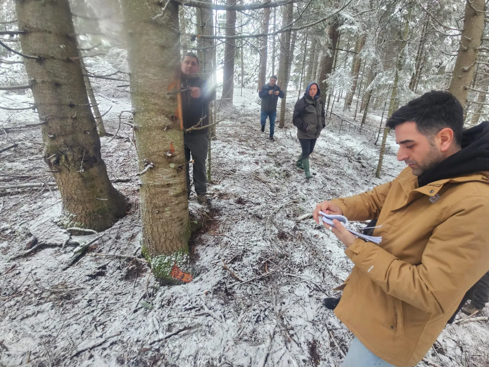 Kastamonu Obm'den Silvikültür Eğitimi! 2