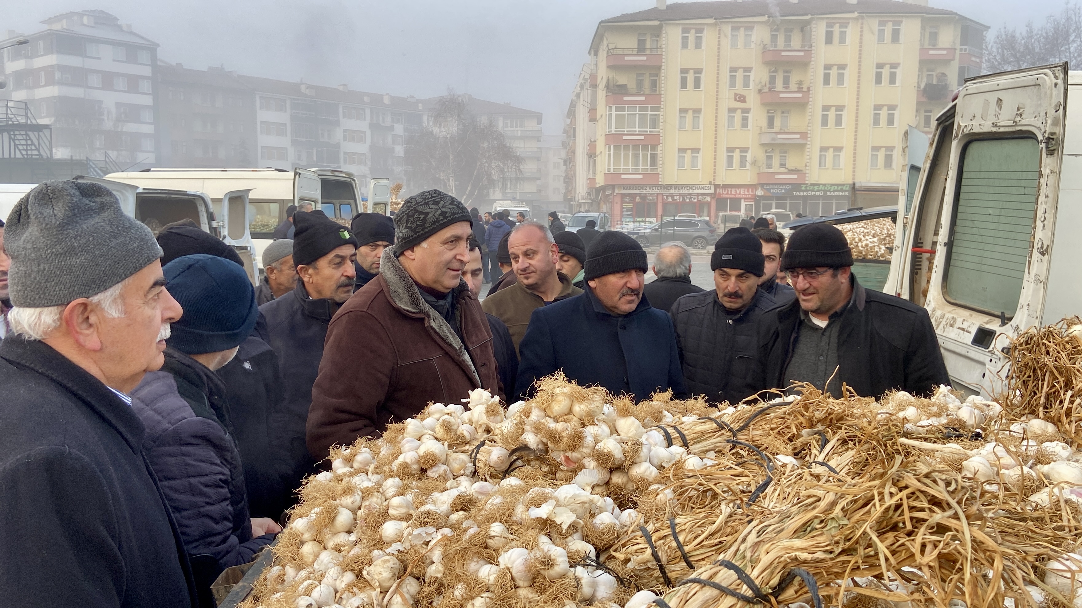 Kastamonu Taşköprü Sarımsak (4)