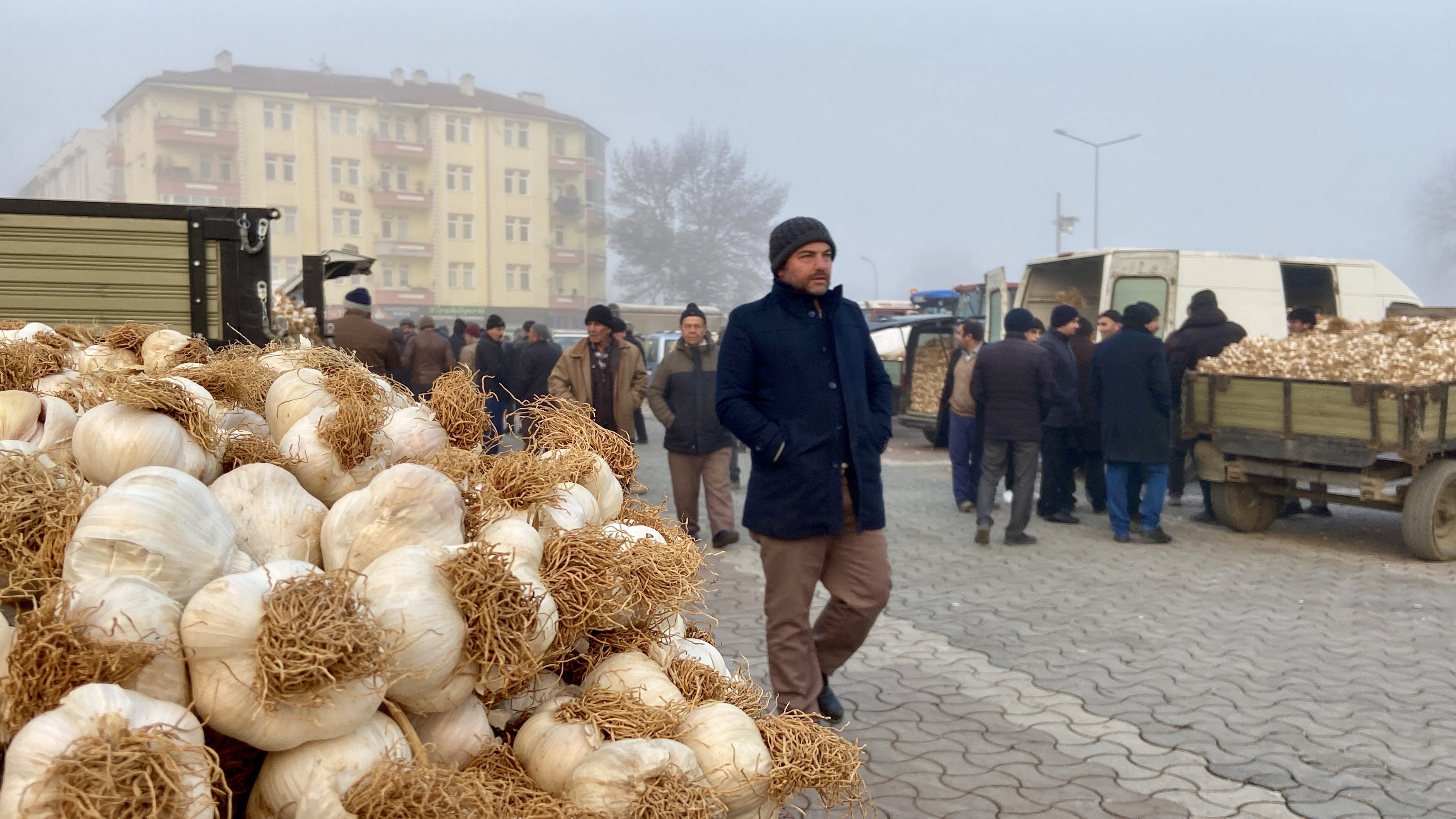 Kastamonu Taşköprü Sarımsak (5)