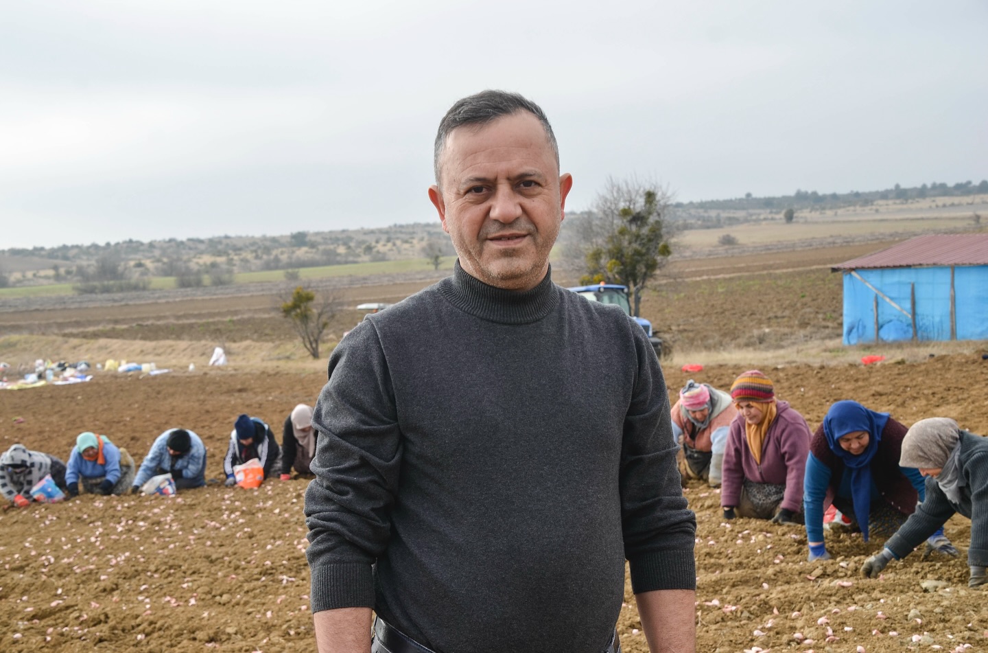 Taşköprü Sarımsak Dikimi Sezonu Başladı (4)