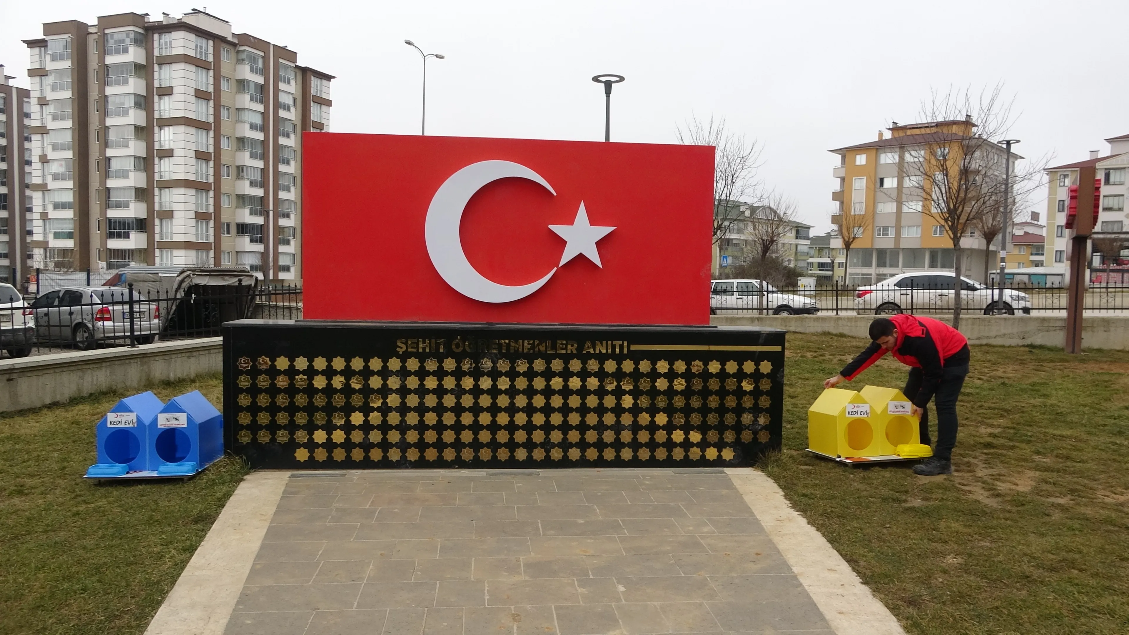 Türk Kızılay Kastamonu Şubesi'nden Kedilere Sıcak Yuva! 3