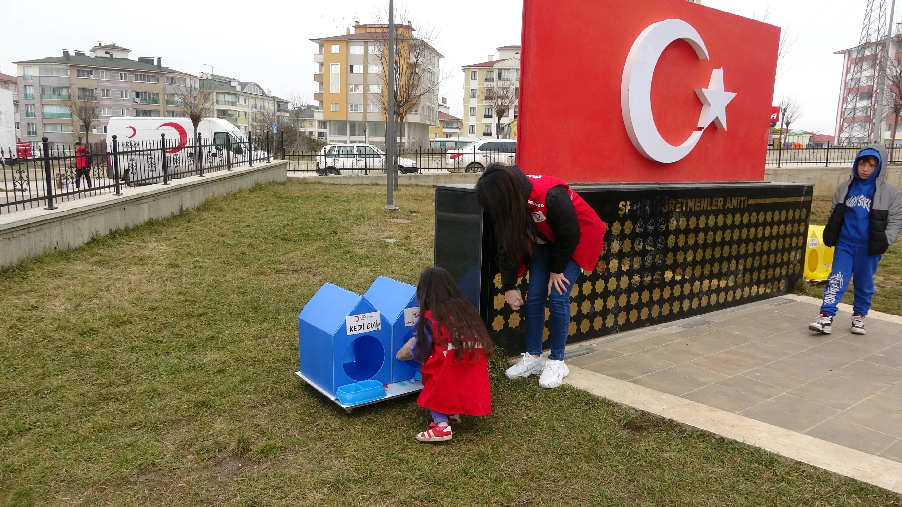 Türk Kızılay Kastamonu Şubesi'nden Kedilere Sıcak Yuva! 4