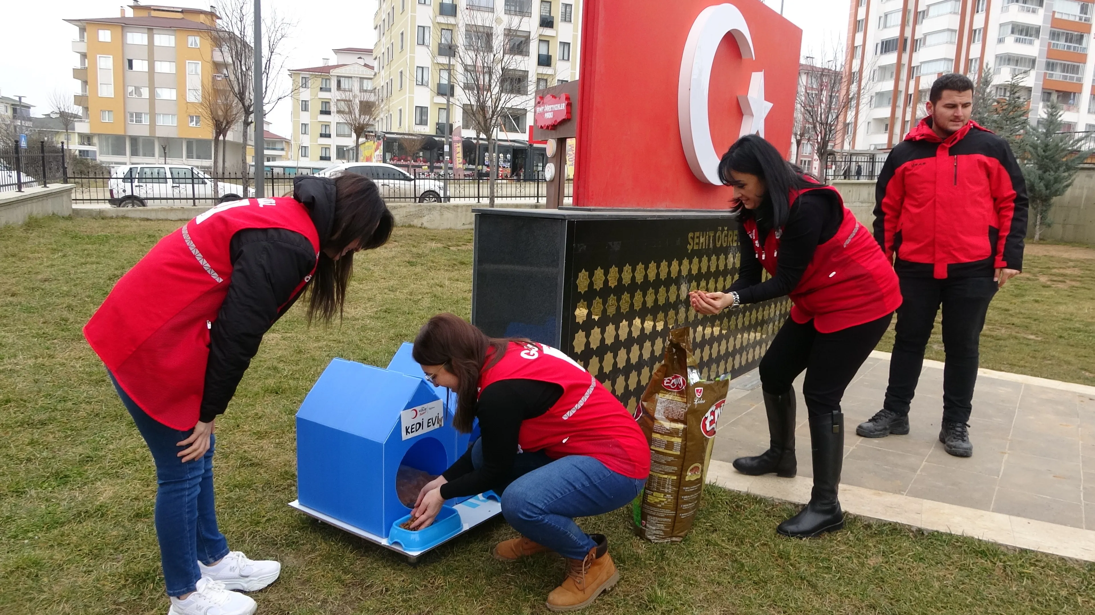 Türk Kızılay Kastamonu Şubesi'nden Kedilere Sıcak Yuva!