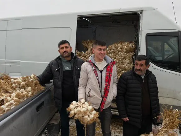 Yılın En Yüksek Fiyatından 400 Kilogram Taşköprü Sarımsağı Satıldı! 1