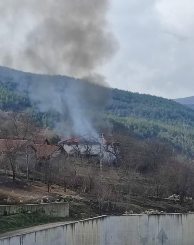 Araç Ilçesi Karacalar Köyü Yangın (1)