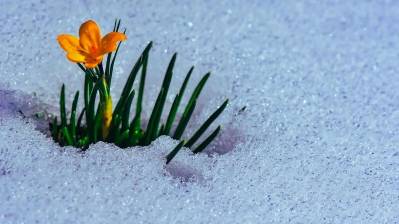 Cemre Düşmesi 2025'Te Ilk Cemre Ne Zaman Düşecek