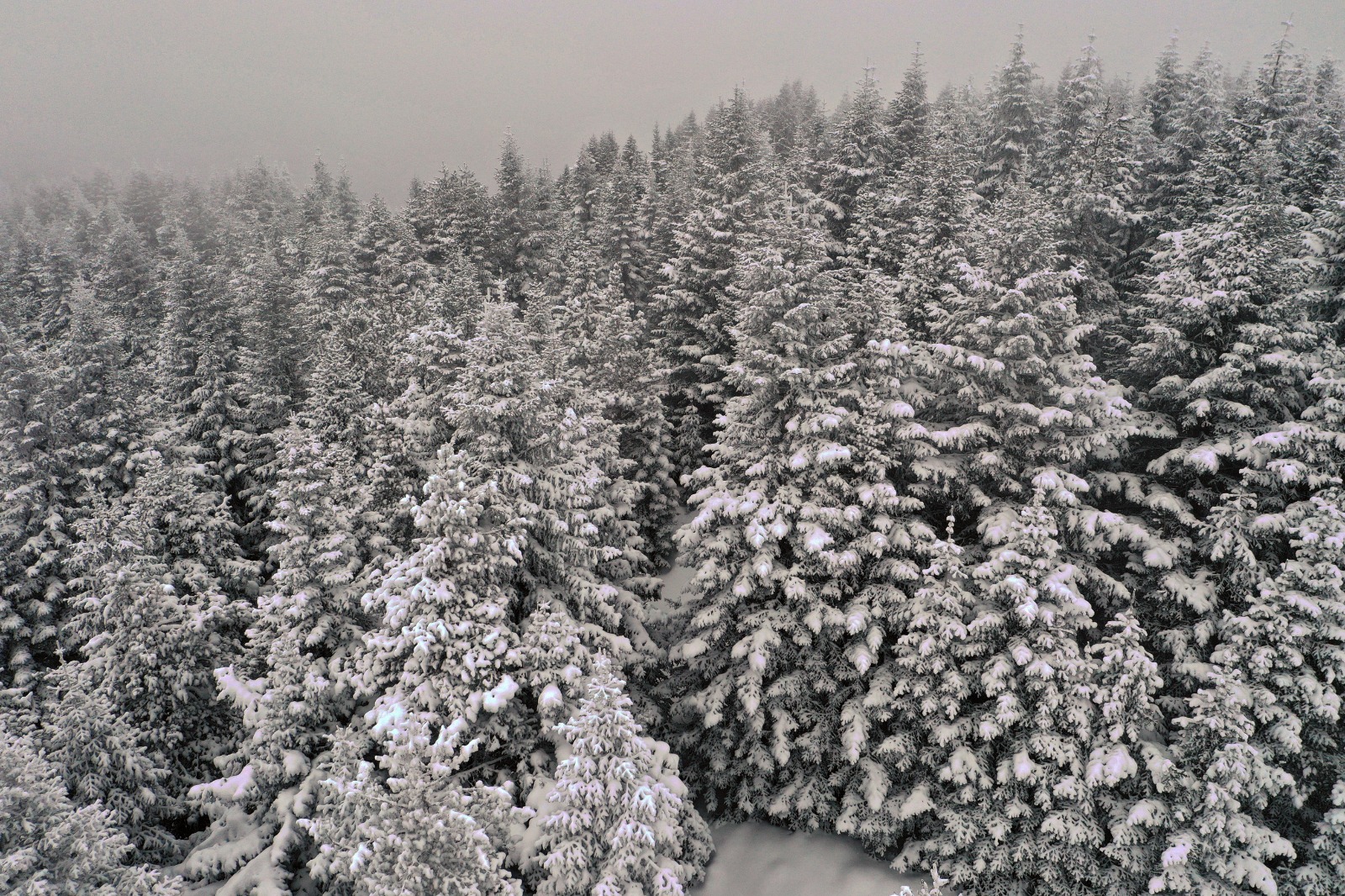 Ilgaz Dağı Dron Görüntüsü (1)