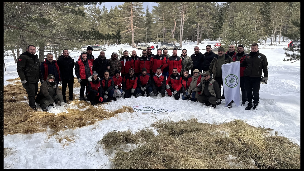 Kastamonu Doğa Yemleme (1)