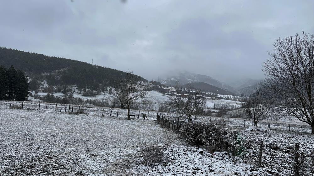 Kastamonu Kar Yağışı Beyaz Örtü (1)-1