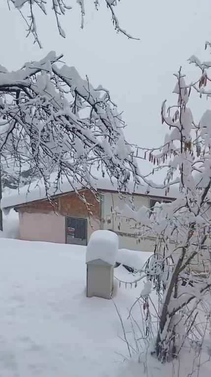 Kastamonu Küre Kar Kalınlığı (2)