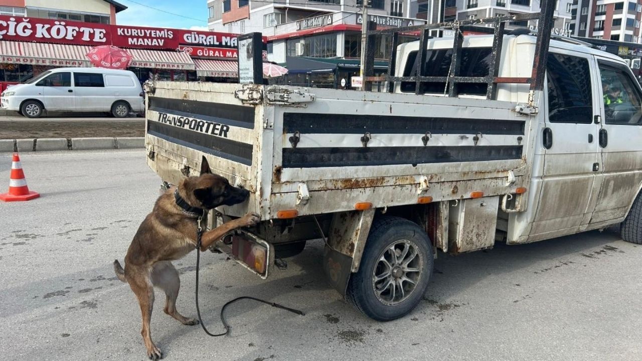 Kastamonu Narvas (3)