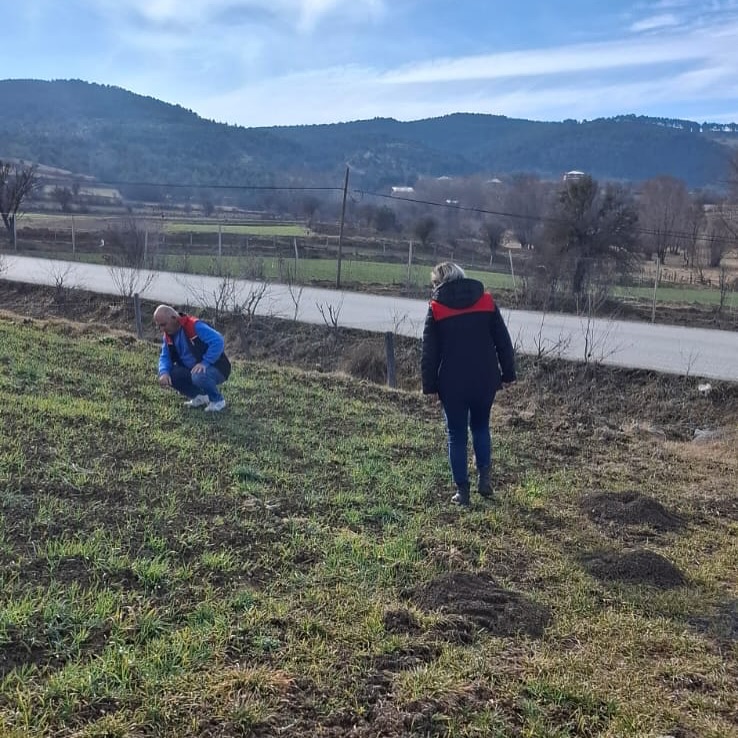 Kastamonu Tarım Tarla Faresi Uyarısı (4)