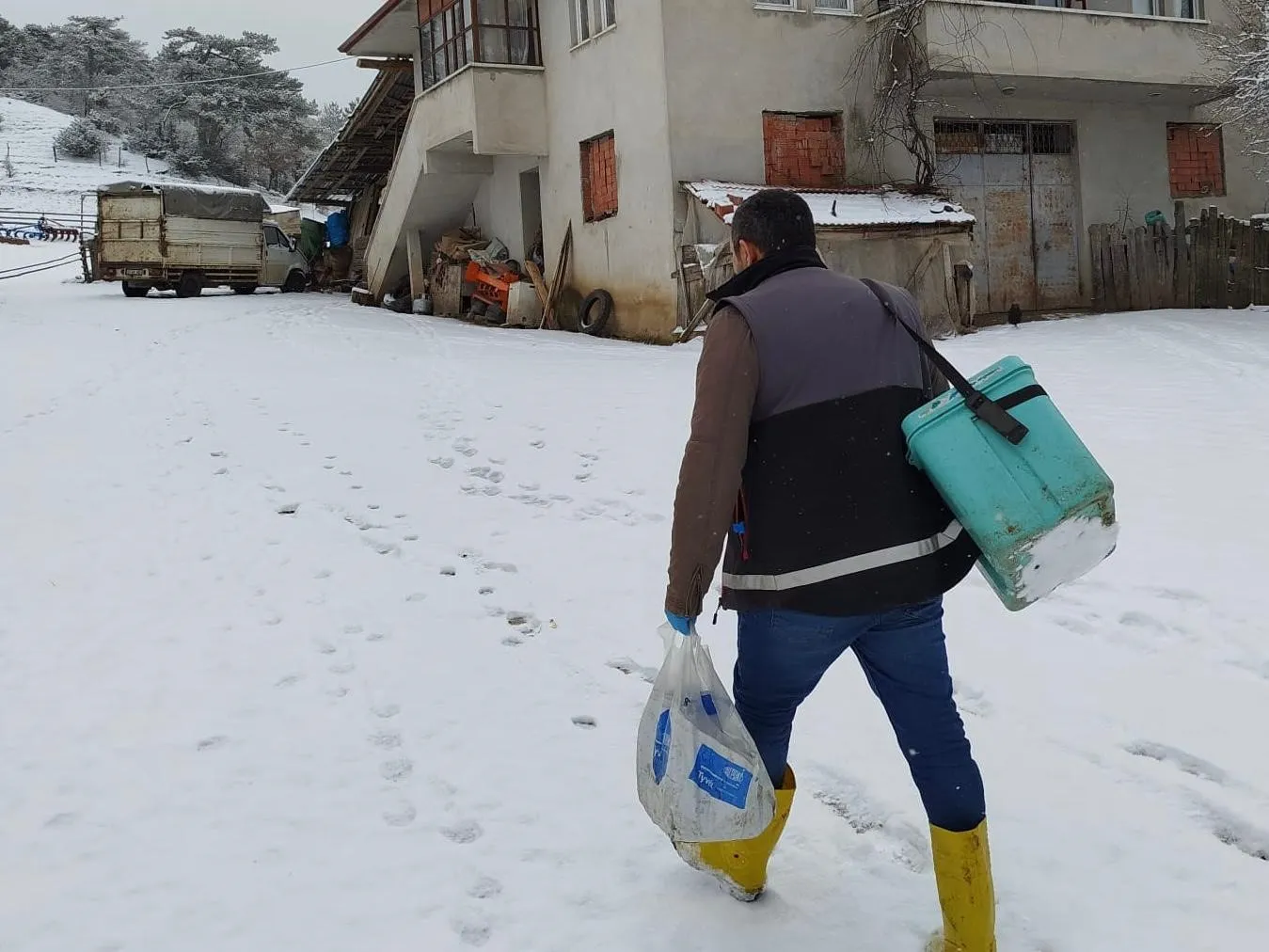 Kastamonu'da Hayvanlara 520 Bin Doz Şap, 200 Bin Doz Brucella Aşısı! 2