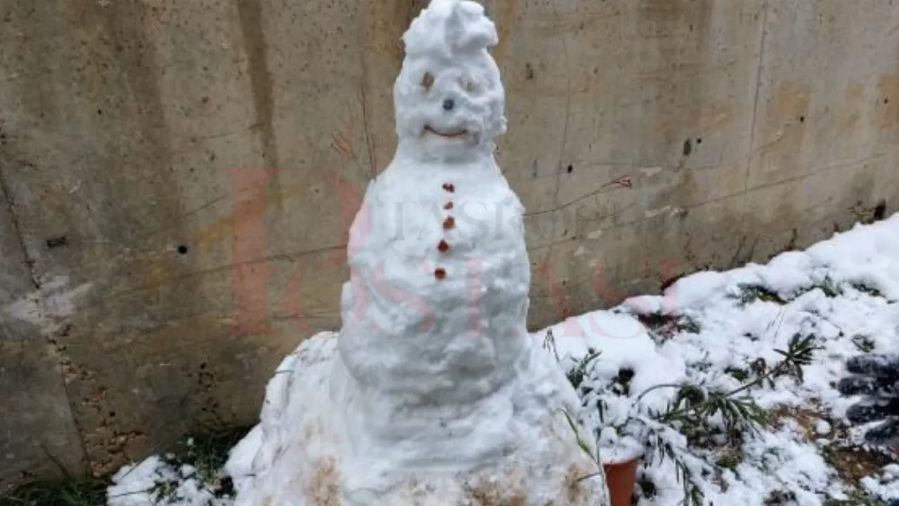 Kastamonu’da Vatandaşlar Yeteneklerini Konuşturdu! 2