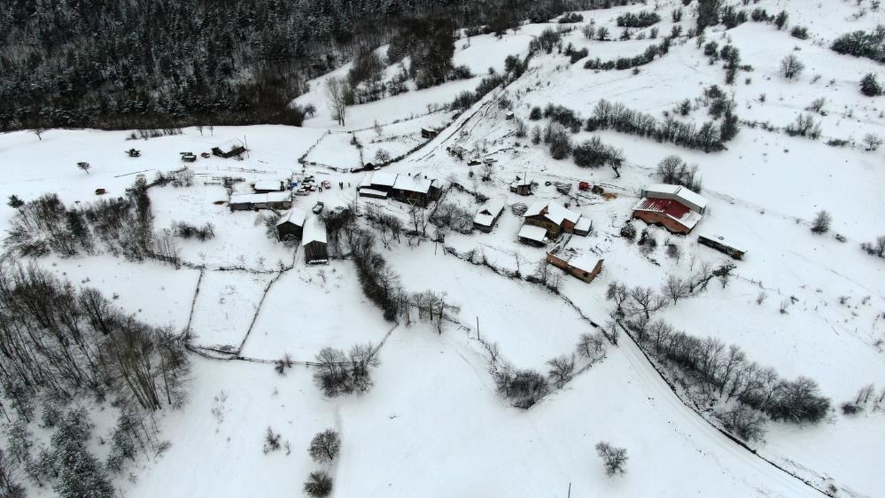 Kastamonulu Sürücü Hiç Gitmediği İstanbulda Trafik Cezası Yedi (9)