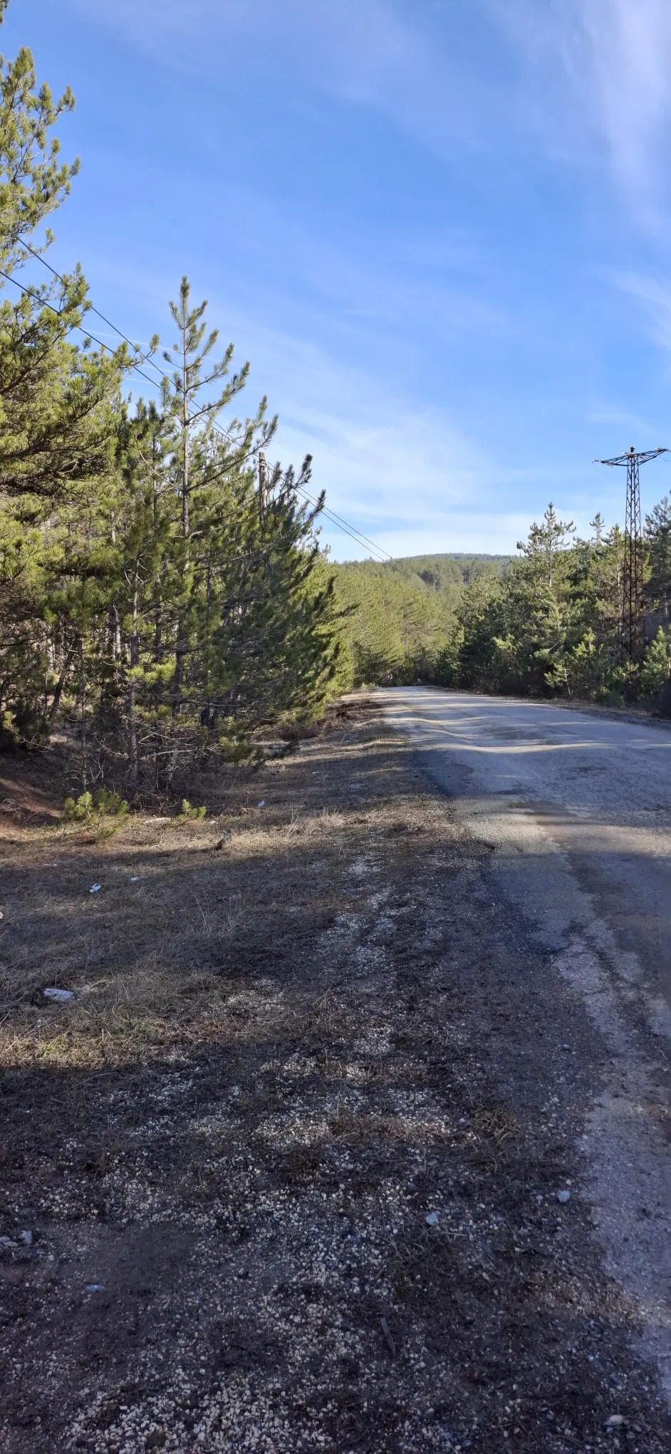 Taşköprü Oi̇m'den Yangınlara Karşı Önlem! Yol Aydınlatma Çalışmaları Hız Kazandı