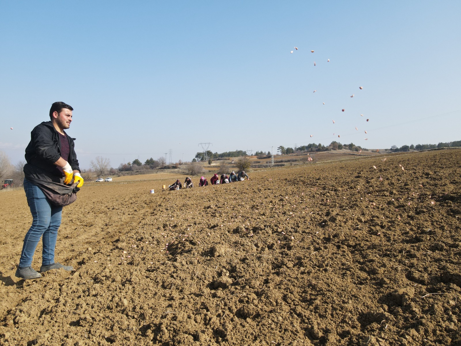 Taşköprü Sarımsak Dikim Sezonu Başladı (11)