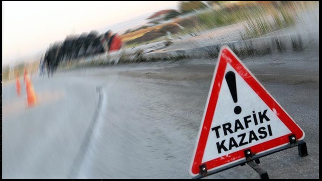 Canavar Trafik Kazası 1208