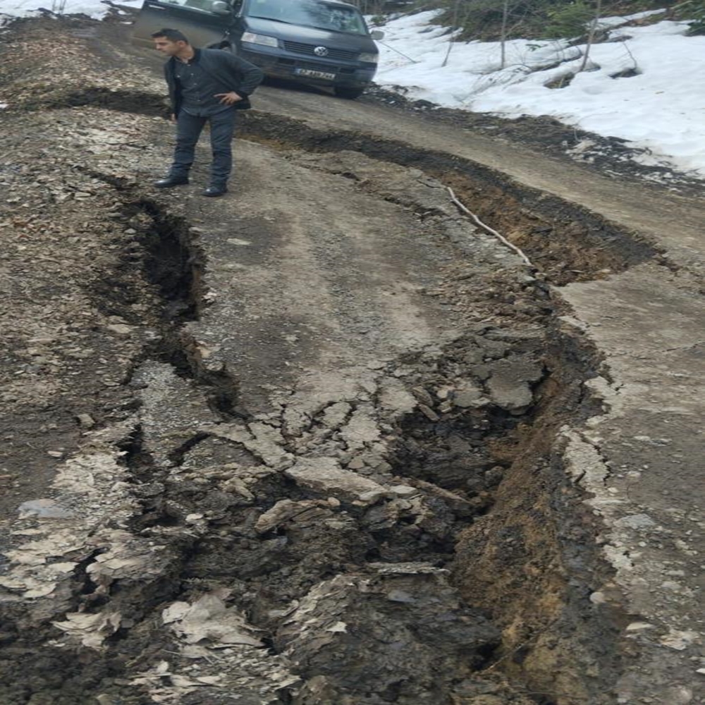 Çatalzeytin Heyelan (2)