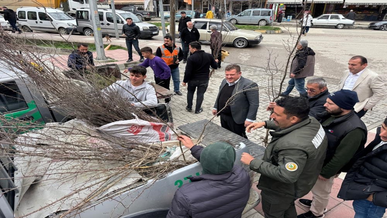 Hanönü Fidan Ormancılık Haftası (2)