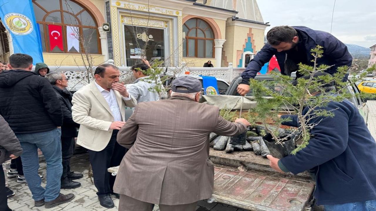 Hanönü Fidan Ormancılık Haftası (3)