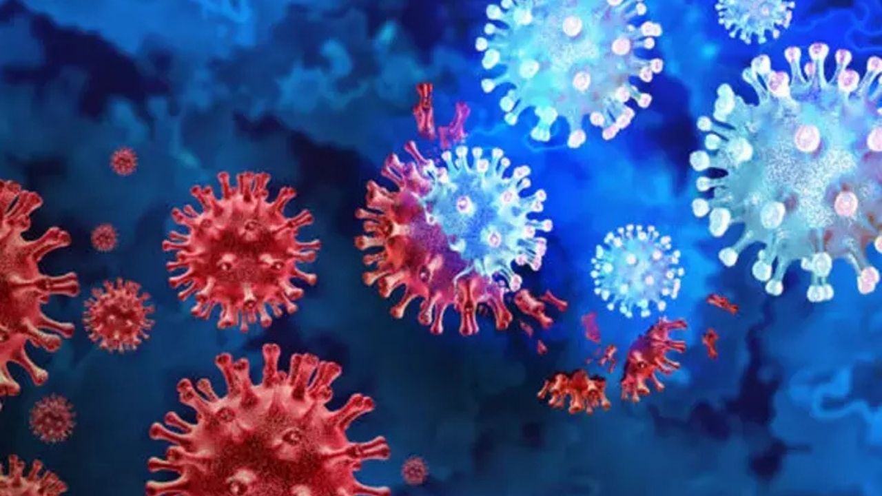 Herpes Simpleks Virüsü Nedir, Tedavisi Var Mı