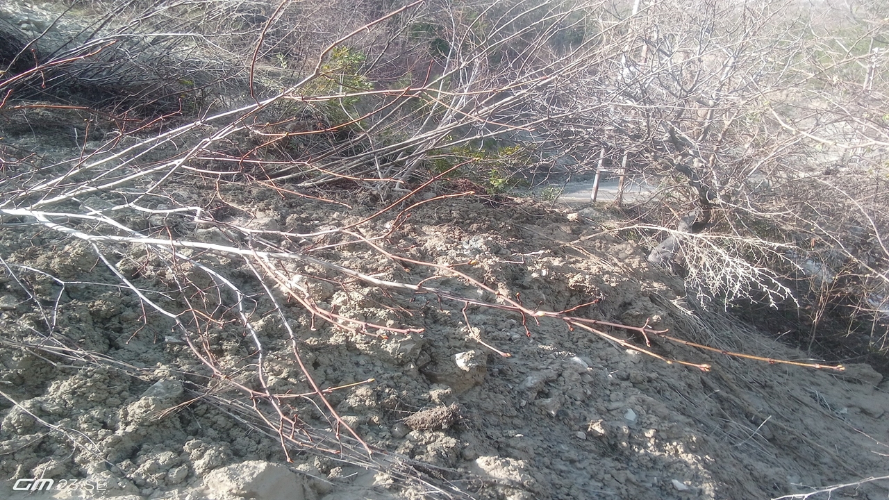 Kastamonu Çatalzeytin Yollar Akıyor (4)