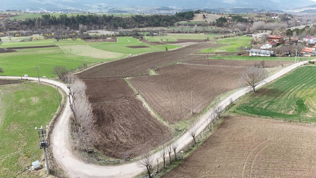 Kastamonu Çiftçi Taşköprü Sarımsağı (3)