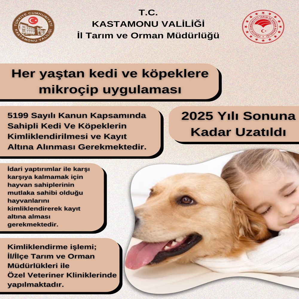 Kastamonu Evcil Hayvan (1)