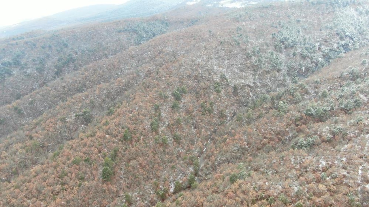 Kastamonu Sonbahar Kış (1)