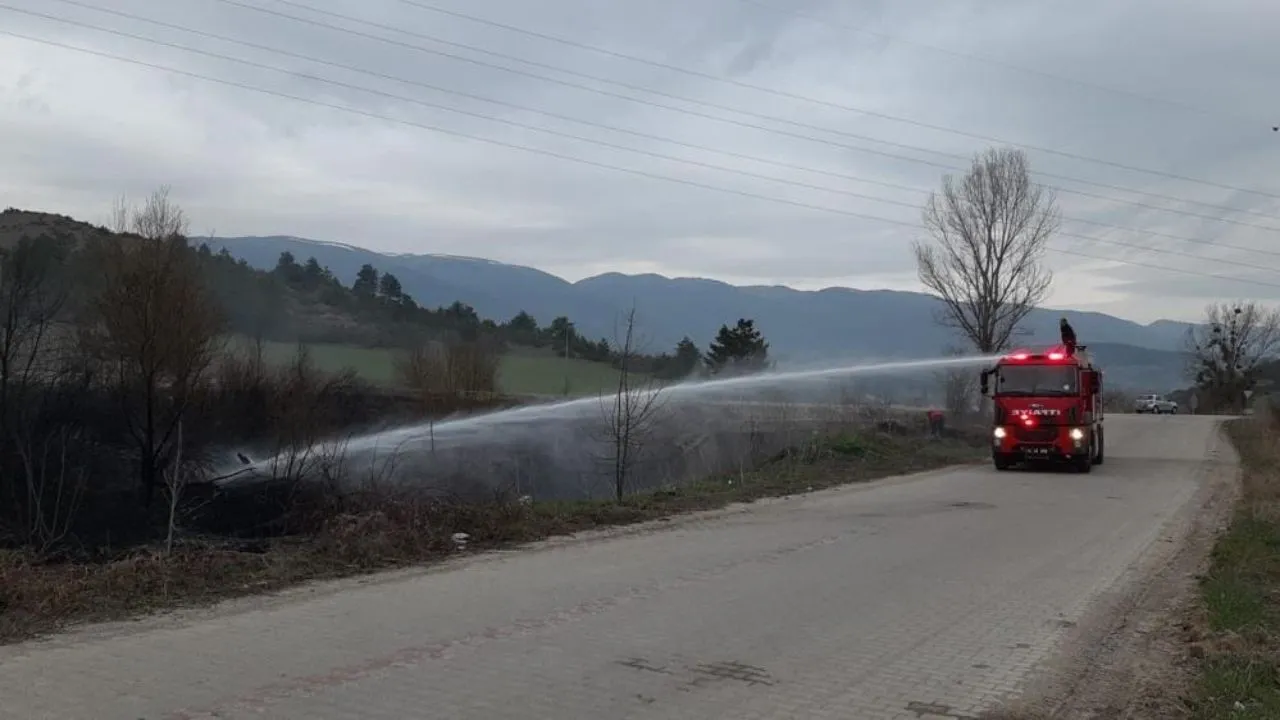 Kuru Otlar Alev Aldı Rüzgar Alevleri Büyüttü, 2 Dönüm Alan Kül Oldu (1)