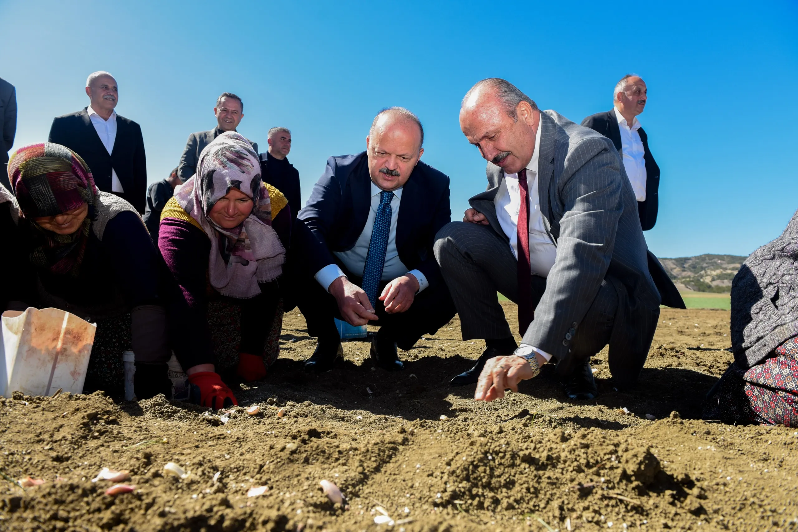 Tarım Ve Orman Bakanı Yumaklı, Taşköprü Sarımsağı Dikti 4