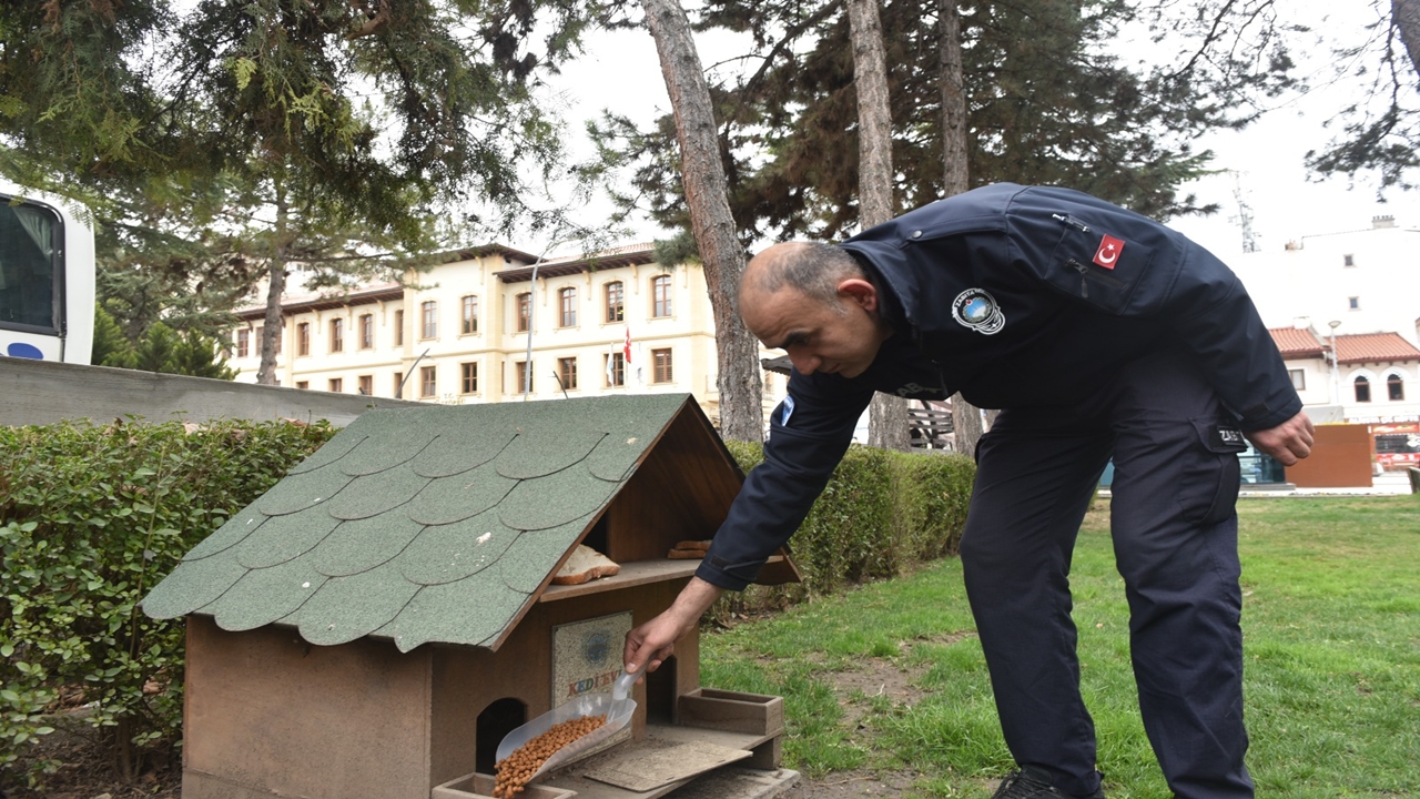 Taşköprü Patili Dostlar (3)