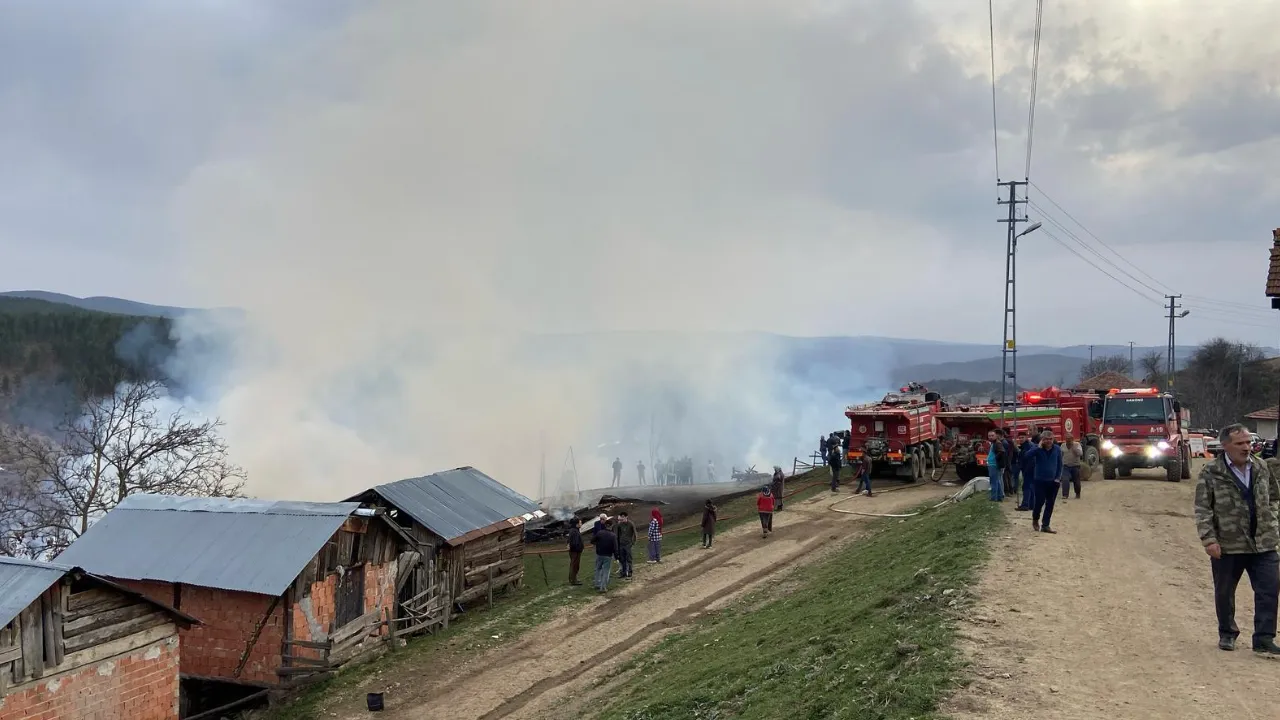 Taşköprü'de Feci Yangın 3 Ev, 6 Ahır, 9 Samanlık Alevlere Teslim Oldu! 28