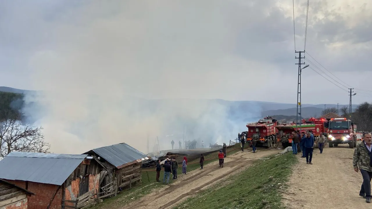 Taşköprü'de Yangın Felaketi 3 Ev, 6 Ahır, 9 Samanlık, 2 Ambar Küle Döndü! (Detaylar) 6