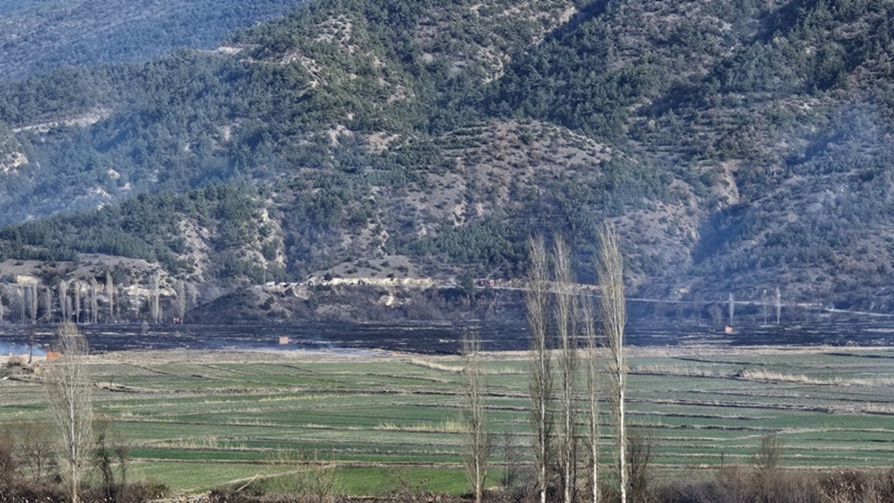 Tosya Çeltik Tarlası Yangın (2)