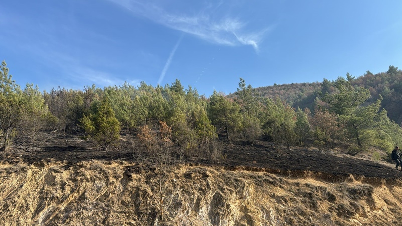 Tosya Çeltik Tarlası Yangın (3)