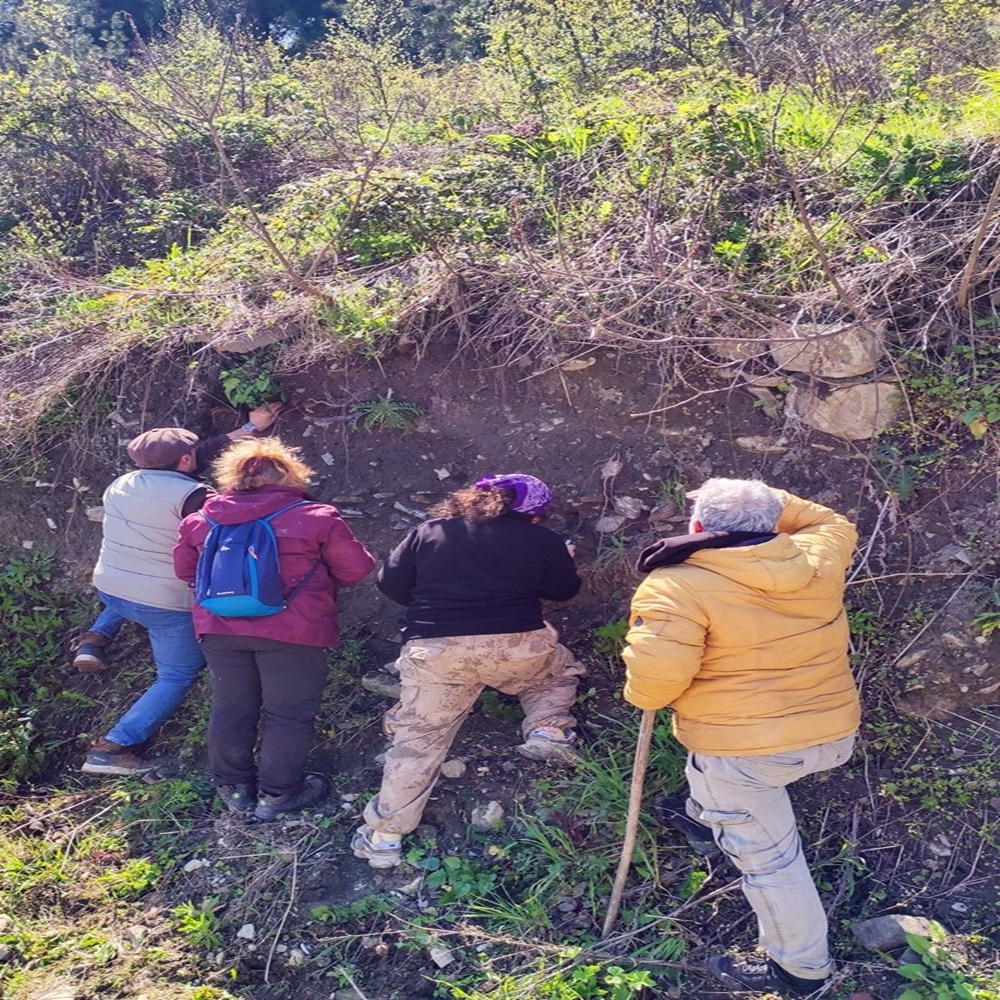 Abana Bozkurt Antik Çağ (4)