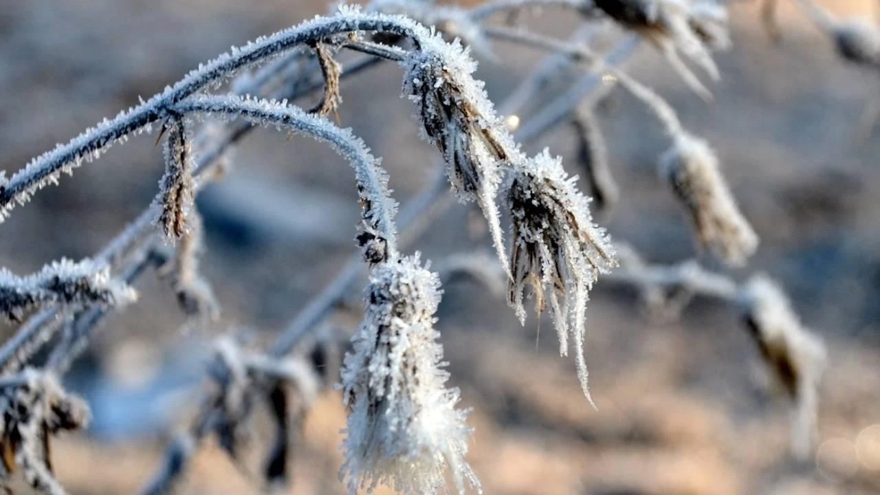 Kastamonu'da Kar Yağışı Kapıda Zirai Don Riski Var! 12