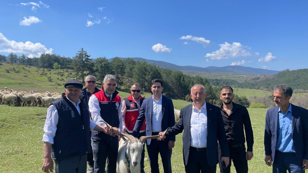 Kastamonu’nun İlçesinde Yürekleri Isıtan Kareler Protokol, Kuzularla Buluştu (5)