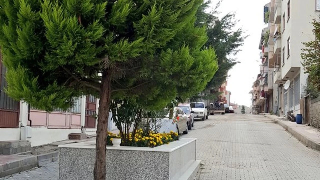Taşköprü Gazi Dede Mezarı (2)