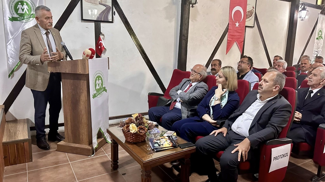 Ahşap Organize Sanayi (1)